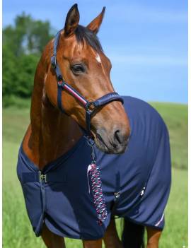 caballo con Juego Cabezada de cuadra y Ramal azul marino de tommy hilfiger yale