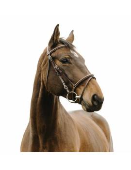 cabezada de montar caballo norton clasica deco