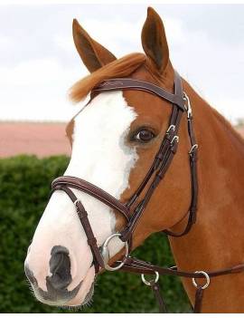 caballo con Cabezada de montar ahogadero con mosqueton de dyon working collection WOJBHA