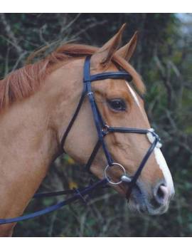 lateral cabezada de montar con muserola mejicana cruzada caballo john whitaker negra