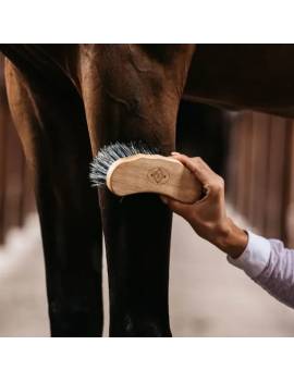 CEPILLO CURVO KENTUCKY de grooming deluxe con caballo