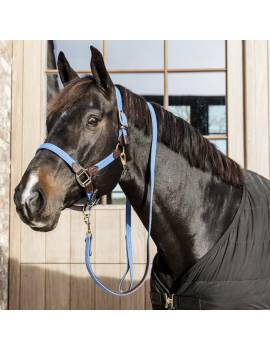 cabezada de cuadra trenzada kentucky horsewear azul celeste