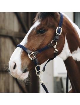 cabezada de cuadra trenzada kentucky horsewear azul marino