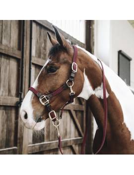 cabezada de cuadra trenzada kentucky horsewear granate
