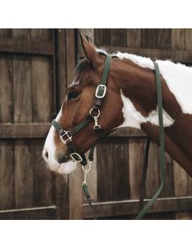 cabezada de cuadra trenzada kentucky horsewear verde