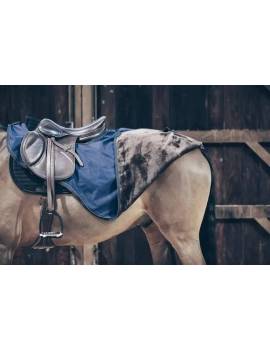 Manta riñonera de kentucky para el trabajo del caballo 1