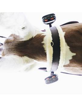 caballo con cincha recta lona borreguito elásticos kentucky horsewear