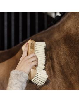 cepillo KENTUCKY medio-suave grooming deluxe 3