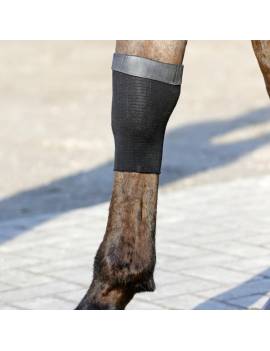 calcetines Gel terapéuticos kentucky en pies en rodilla