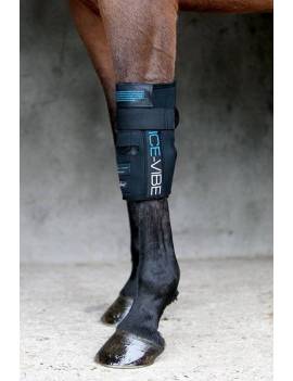 Protectores HORSEWARE de masaje ICE-VIBE Rodilla 2