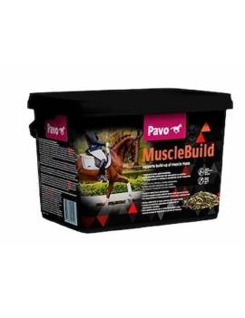 vitaminas para muscular el caballo pavo musclebuild