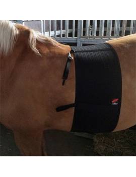 faja caballo heridas espuela zandona