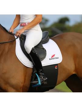 caballo con faja para heridas del caballo zandona