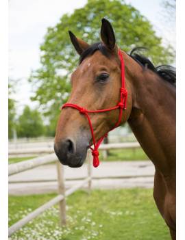 cabezada de cuadra caballo cuerda con nudos Norton roja