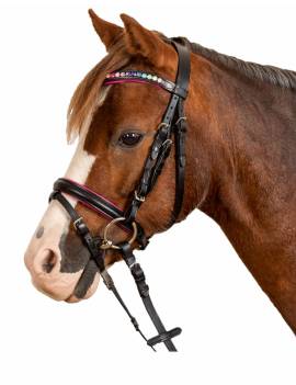 cabezada poni brillis negro arcoiris waldhasuen pinky