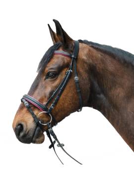 cabezada de montar poni negro waldhausen diamond