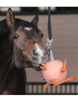 pelota colgar zanahorias caballo waldhausen rosa