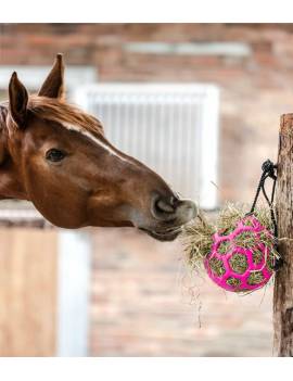 pelota rosa caballo heno waldhausen