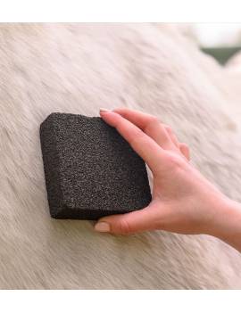 piedra para quitar huevos de mosca de caballos