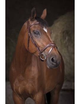 cabezada de montar caballo norton wave con muserola curva