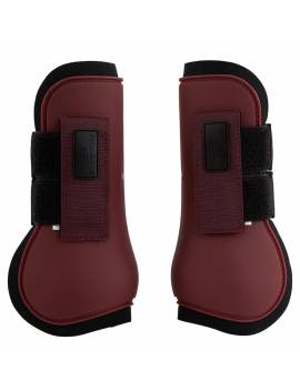 protectores delantero de br modelo eevolv granates