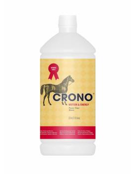 Bote CRONO motion and energy 910ml