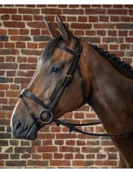 caballo con Cabezada de montar muserola anatomica DYON de DYON COLECCTION DYABAB B134 negra