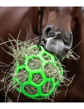 pelota verde caballo heno waldhausen