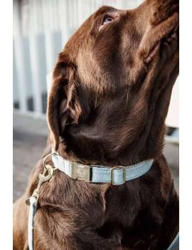 collar perro lana kentucky celeste