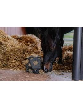 uso de la Pelota relax heno caballo rosa de KENTUCKY