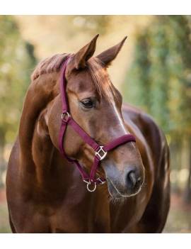 cabezada de cuadra caballo color granate de WALDHAUSEN modelo SATIN
