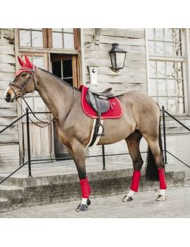 conjunto mantilla terciopelo kentucky horsewear color edition velvet rojo