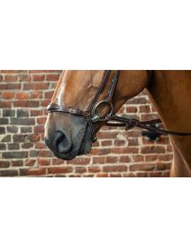 caballo con muserola alemana suelta ajustable dyon