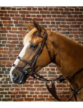 caballo con Cabezada de montar muserola doble DYON collection