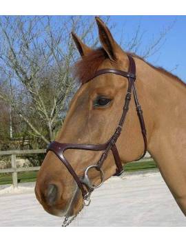 caballo con cabezada muserola baja dyon xfit necccd