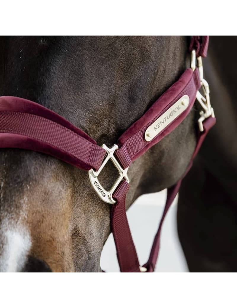 cabezada de cuadra terciopelo kentucky horsewear velvet granate