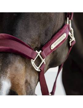 cabezada de cuadra terciopelo kentucky horsewear velvet granate