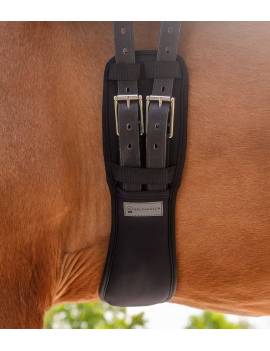 caballo con cincha doma caballo gel waldhausen