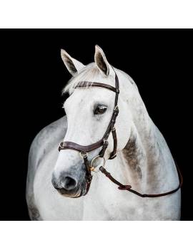 cabezada de montar rambo horseware mickem competition muserola combinada marrón