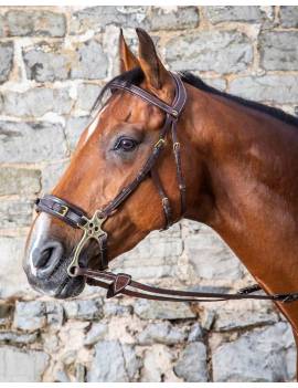caballo con cabezada de montar para hackamore caballo dyon