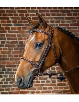 caballo con cabezada de montar muserola alemana cuerda forrada en cuero dyon