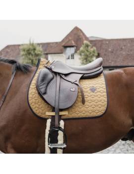 mantilla salto caballo amarillo mostaza borde negro kentucky horsewear neopreno