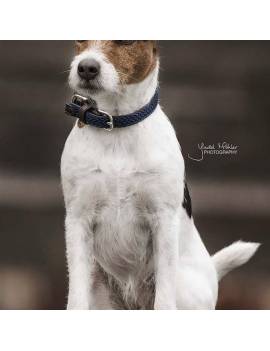 collar perro kentucky trenzado azul marino
