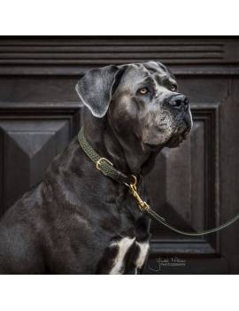 collar perro kentucky trenzado verde