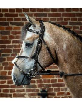 caballo con cabezada de montar caballo con muserola mejicana cruzada dyon collection cierres dorados