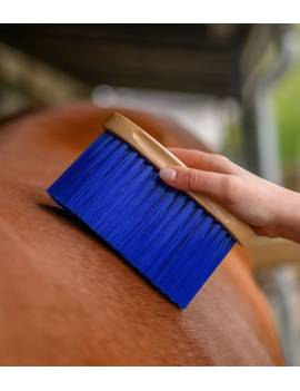Cepillo para el polvo caballo azul mango de madera