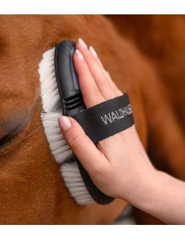 Cepillo brillo flexible Waldhausen
