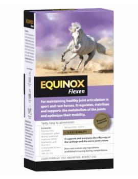 Equinox Flexen 1 Litro