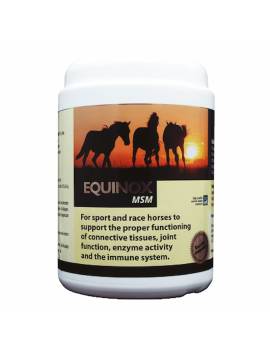 Equinox MSM 1 Kg