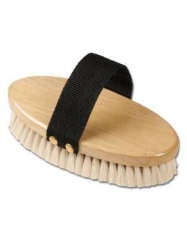 Bruza suave Pequeña waldhausen